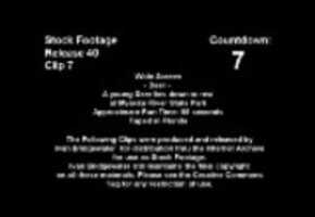 Free download Deer video and edit with RedcoolMedia movie maker MovieStudio video editor online and AudioStudio audio editor onlin