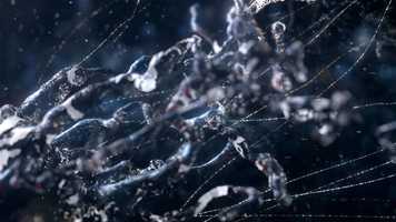 Free download D e h u m a t e r i a l i z a t i o n video and edit with RedcoolMedia movie maker MovieStudio video editor online and AudioStudio audio editor onlin