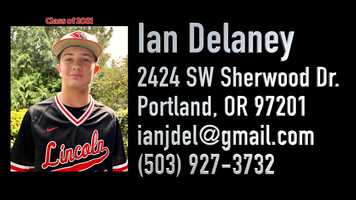 Free download Delaney Baseball 2020 Highlights - Intro video and edit with RedcoolMedia movie maker MovieStudio video editor online and AudioStudio audio editor onlin