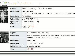 Download web tool or web app Delightful Labor Download web tool or web app Delightful Labor