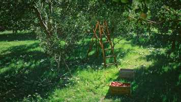 Free download DELTA Advance Kids video and edit with RedcoolMedia movie maker MovieStudio video editor online and AudioStudio audio editor onlin