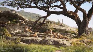 Free download Demo reel 2019 Rodolphe Hoareau video and edit with RedcoolMedia movie maker MovieStudio video editor online and AudioStudio audio editor onlin