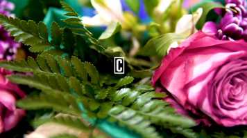 Free download Demo Reel - Christopher Oven video and edit with RedcoolMedia movie maker MovieStudio video editor online and AudioStudio audio editor onlin