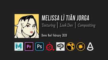 Free download Demo Reel - February 2020 video and edit with RedcoolMedia movie maker MovieStudio video editor online and AudioStudio audio editor onlin