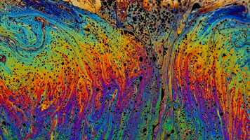 Free download DEMO REEL - The Compilation video and edit with RedcoolMedia movie maker MovieStudio video editor online and AudioStudio audio editor onlin