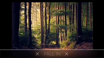 Free download Den Baro - Fall IN(Original mix) video and edit with RedcoolMedia movie maker MovieStudio video editor online and AudioStudio audio editor onlin