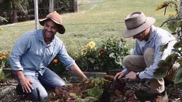 Free download Department of Industry, Science, Energy and Resources video and edit with RedcoolMedia movie maker MovieStudio video editor online and AudioStudio audio editor onlin