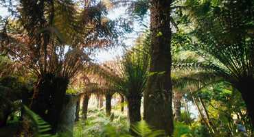 Free download DER GEHEIME GARTEN / Trailer DE (HD) video and edit with RedcoolMedia movie maker MovieStudio video editor online and AudioStudio audio editor onlin