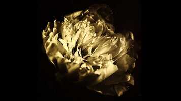 Free download Desert Piano video and edit with RedcoolMedia movie maker MovieStudio video editor online and AudioStudio audio editor onlin