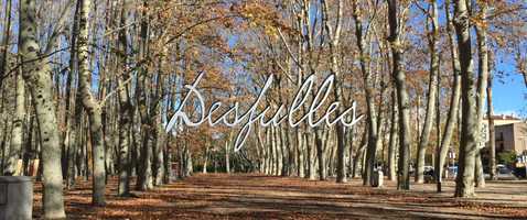 Free download Desfulles video and edit with RedcoolMedia movie maker MovieStudio video editor online and AudioStudio audio editor onlin