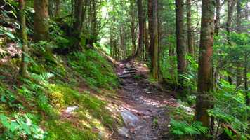 Free download Design for How People Learn by Julie Dirksen: TD Final Video video and edit with RedcoolMedia movie maker MovieStudio video editor online and AudioStudio audio editor onlin