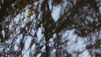 Free download DESIGN ILLUMINATION BRAND MOVIE video and edit with RedcoolMedia movie maker MovieStudio video editor online and AudioStudio audio editor onlin