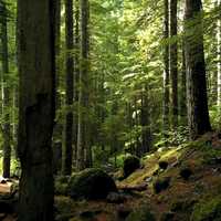 Free download Design in the Universe video and edit with RedcoolMedia movie maker MovieStudio video editor online and AudioStudio audio editor onlin