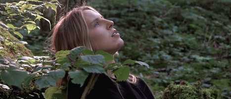 Free download Destination video and edit with RedcoolMedia movie maker MovieStudio video editor online and AudioStudio audio editor onlin