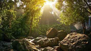 Free download Destiny, Rewritten - Book Trailer.mp4 video and edit with RedcoolMedia movie maker MovieStudio video editor online and AudioStudio audio editor onlin