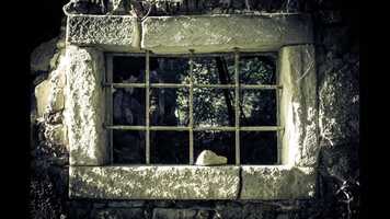 Free download destruction of whites US.mp4 video and edit with RedcoolMedia movie maker MovieStudio video editor online and AudioStudio audio editor onlin