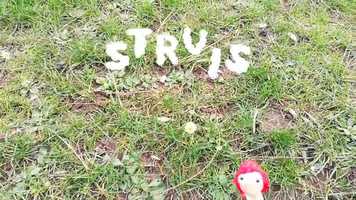 Free download De Trailer Struis video and edit with RedcoolMedia movie maker MovieStudio video editor online and AudioStudio audio editor onlin