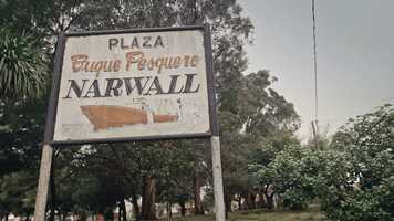 Free download Detras de la Sombra (Trailer) video and edit with RedcoolMedia movie maker MovieStudio video editor online and AudioStudio audio editor onlin