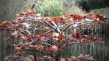 Free download Diana Fountain video and edit with RedcoolMedia movie maker MovieStudio video editor online and AudioStudio audio editor onlin