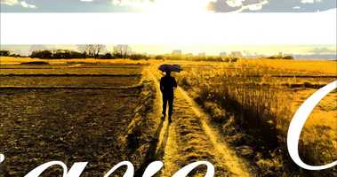 Free download DiCesare Designs Pumpkin SuperMini Umbrella video and edit with RedcoolMedia movie maker MovieStudio video editor online and AudioStudio audio editor onlin