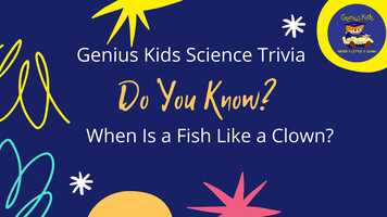 Free download didyouknow8-clownfish.mp4 video and edit with RedcoolMedia movie maker MovieStudio video editor online and AudioStudio audio editor onlin