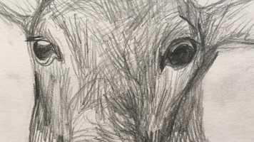 Free download Die Begegnung video and edit with RedcoolMedia movie maker MovieStudio video editor online and AudioStudio audio editor onlin