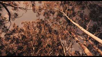 Free download Diego Robert - Poucos Passos (Clipe Oficial) video and edit with RedcoolMedia movie maker MovieStudio video editor online and AudioStudio audio editor onlin