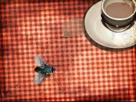 Free download DIE HARD | TEASERS video and edit with RedcoolMedia movie maker MovieStudio video editor online and AudioStudio audio editor onlin