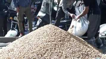 Free download Different smiles video and edit with RedcoolMedia movie maker MovieStudio video editor online and AudioStudio audio editor onlin