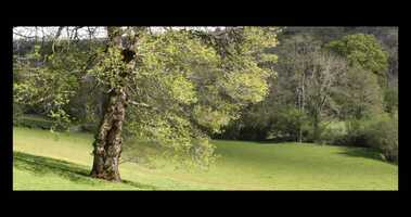 Free download Digital Native - Ethan Elliott video and edit with RedcoolMedia movie maker MovieStudio video editor online and AudioStudio audio editor onlin