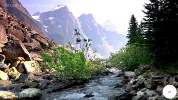 Free download Dino Hrvat - Our love is more than art video and edit with RedcoolMedia movie maker MovieStudio video editor online and AudioStudio audio editor onlin