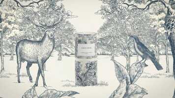 Free download Dior Toile de Jouy - instore animation video video and edit with RedcoolMedia movie maker MovieStudio video editor online and AudioStudio audio editor onlin