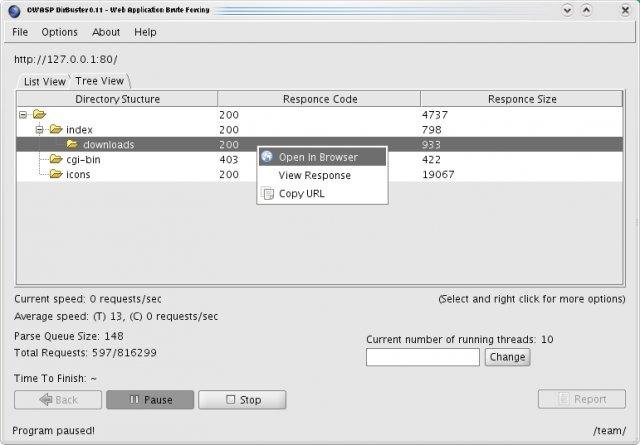 Download web tool or web app DirBuster