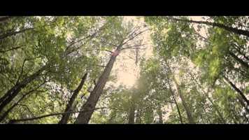 Free download Director/DP reel video and edit with RedcoolMedia movie maker MovieStudio video editor online and AudioStudio audio editor onlin