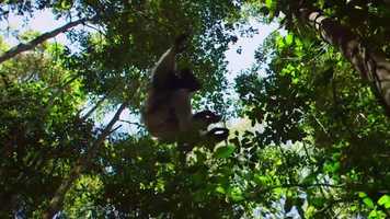 Free download Director showreel 2019 - Emma Brennand video and edit with RedcoolMedia movie maker MovieStudio video editor online and AudioStudio audio editor onlin