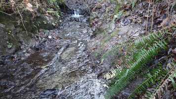 Free download Discovery Park | Seattle, WA video and edit with RedcoolMedia movie maker MovieStudio video editor online and AudioStudio audio editor onlin