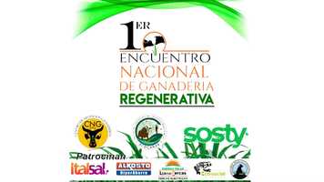 Free download Disney Baquero video and edit with RedcoolMedia movie maker MovieStudio video editor online and AudioStudio audio editor onlin