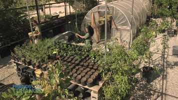 Free download Disney s Friends For Change Ambassadors Ross Lynch and Laura Marano Spread Conservation video and edit with RedcoolMedia movie maker MovieStudio video editor online and AudioStudio audio editor onlin