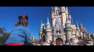 Free download Disney Surprise Family Film video and edit with RedcoolMedia movie maker MovieStudio video editor online and AudioStudio audio editor onlin