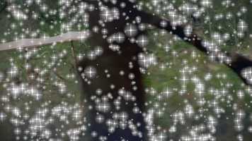 Free download Disney Theme Parks video and edit with RedcoolMedia movie maker MovieStudio video editor online and AudioStudio audio editor onlin