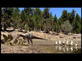 Free download Disney Walking With Dinosaurs Big Al Goes Trap video and edit with RedcoolMedia movie maker MovieStudio video editor online and AudioStudio audio editor onlin