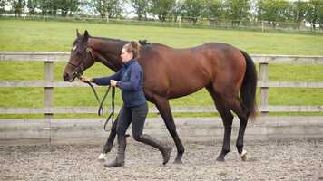 Free download Distorted Humor x Listen A P.mp4 video and edit with RedcoolMedia movie maker MovieStudio video editor online and AudioStudio audio editor onlin