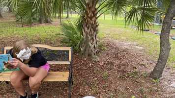 Free download Dive In Week 4- Elementary video and edit with RedcoolMedia movie maker MovieStudio video editor online and AudioStudio audio editor onlin