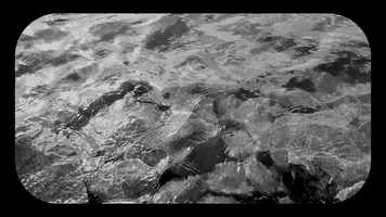 Free download Divine Discontent video and edit with RedcoolMedia movie maker MovieStudio video editor online and AudioStudio audio editor onlin