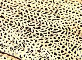 Free download DIVINE SPARKS FILM video and edit with RedcoolMedia movie maker MovieStudio video editor online and AudioStudio audio editor onlin