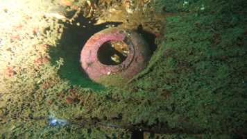 Free download Diving wreck graveyard, Disneyland, lesund video and edit with RedcoolMedia movie maker MovieStudio video editor online and AudioStudio audio editor onlin