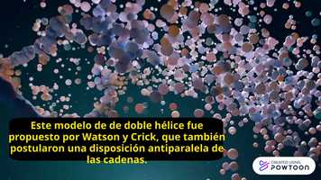 Free download DNA1 video and edit with RedcoolMedia movie maker MovieStudio video editor online and AudioStudio audio editor onlin