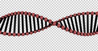 Free download DNA Double Helix | Motion Graphics - Envato elements video and edit with RedcoolMedia movie maker MovieStudio video editor online and AudioStudio audio editor onlin