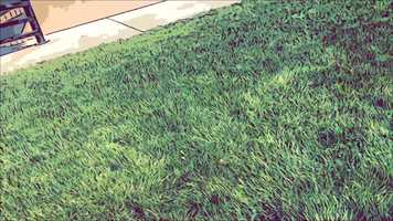 Free download Dober Dayz video and edit with RedcoolMedia movie maker MovieStudio video editor online and AudioStudio audio editor onlin