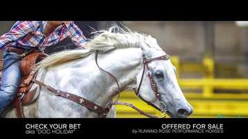 Free download Doc Rodeo Music video and edit with RedcoolMedia movie maker MovieStudio video editor online and AudioStudio audio editor onlin